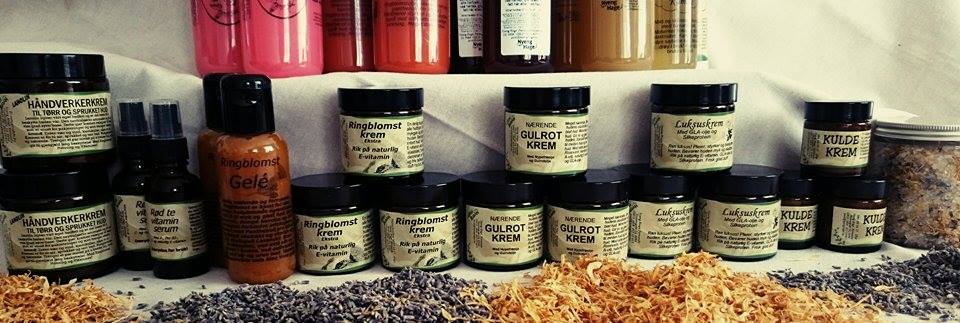 11116074_947240681982870_648524577_n