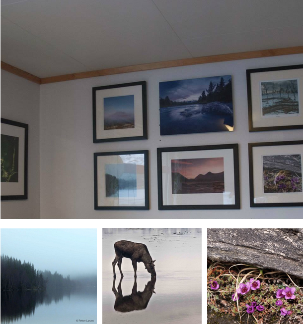 Skjermbilde 2015-09-22 kl. 12.49.58